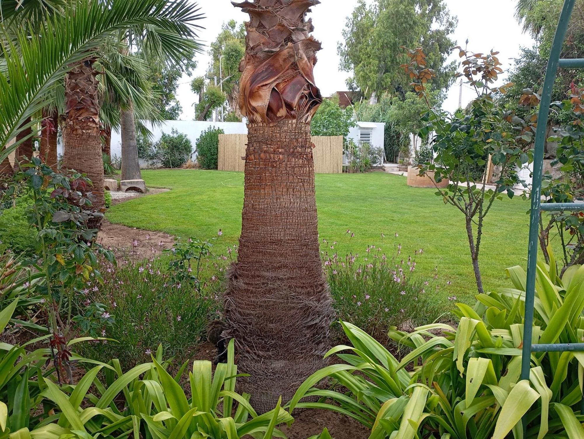 Au Bout Du Jardin Villa Karthago Eksteriør bilde